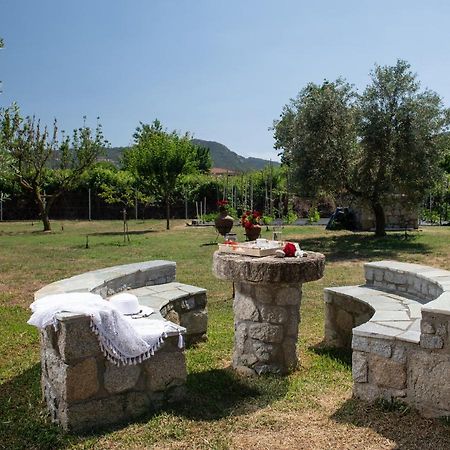 Villa Tsitreli Sykia Chalkidikis Buitenkant foto