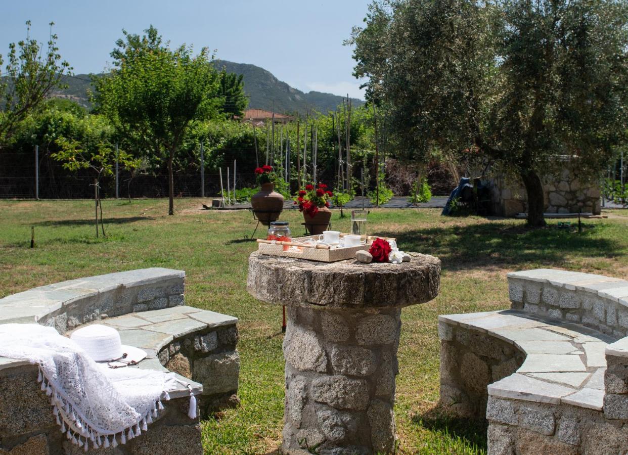 Villa Tsitreli Sykia Chalkidikis Buitenkant foto